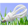 Lotus Energy Saving Bulb Light (OPNL-02)