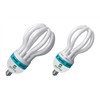 Lotus Energy Saving Lamp