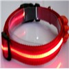Lovely LED Lights - Pet Collar