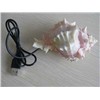 Lovely Whelk USB Hub