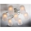 Modern fashion hight quality iron lamp 8157-6+1