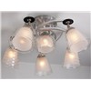 Modern Functional Aluminum Glass Light