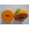 Orange Shaped Flash Memory Driver