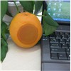 Orange USB 2.0 Audio