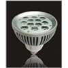 Par38(BLL-P3801-12WW-E27)