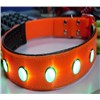 Pets Collar