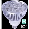 Projector Bulb