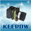 Push Button Switches (XB4-BD Series)