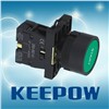 Push Button Switches