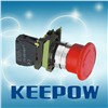 push button switches