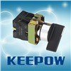 Rotary Switches (XB2-BJ )
