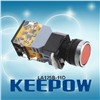 Round Push Button with Light (LA125B-11D)
