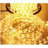 SMD LED Rope Light