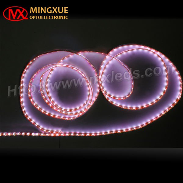 SMD LED Strip Light 