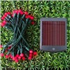 Solar G12 String Light