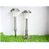 Solar LED Lawn Light