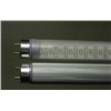 T8 Fluorescent Lamp