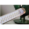 T8 Fluorescent Tubes