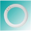 T9 Circle Fluorescent Tube (STSFS)
