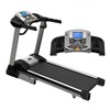 Treadmill (SF-F116)
