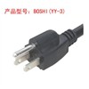 Us Standard Plug