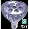 Xenon Bulb