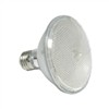 YL-PAR30 70LED Light